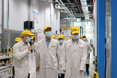 打響“三個高地”品牌，以計算機系統服務賦能最美茶陵縣域發展